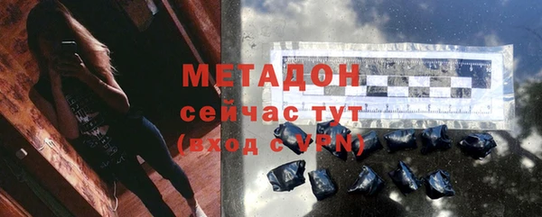 индика Новозыбков