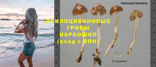 тгк Абдулино
