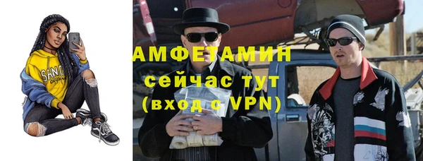 индика Новозыбков