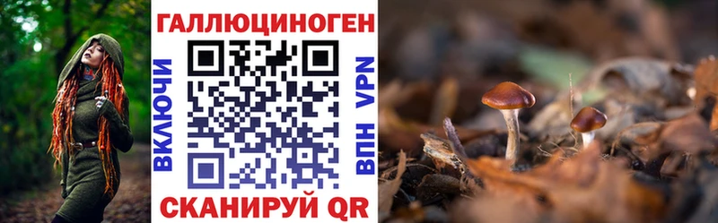 Галлюциногенные грибы Magic Shrooms  Стерлитамак 