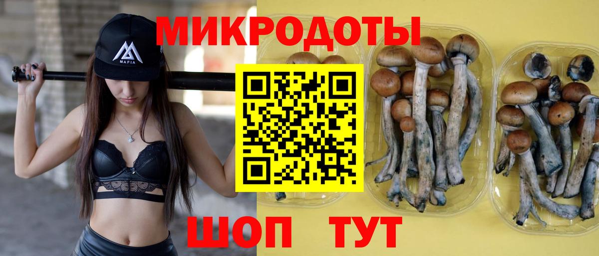Галлюциногенные грибы GOLDEN TEACHER  Вход с VPN  Стерлитамак 